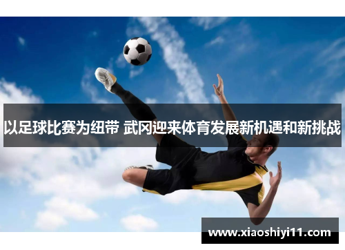 以足球比赛为纽带 武冈迎来体育发展新机遇和新挑战
