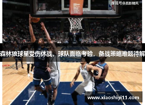 森林狼球星受伤休战，球队面临考验，备战策略难题待解