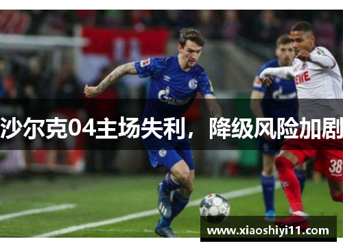 沙尔克04主场失利，降级风险加剧